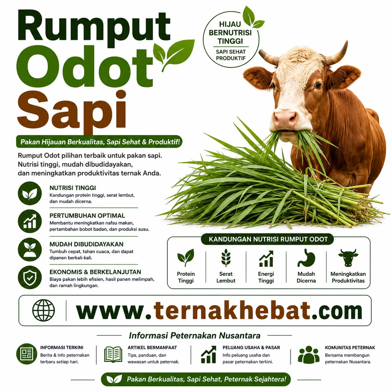 Grup Peternak Kambing