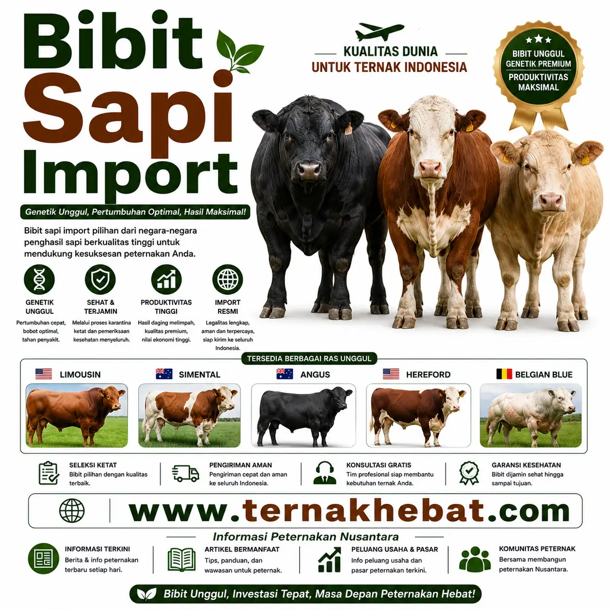Jual Hewan Qurban